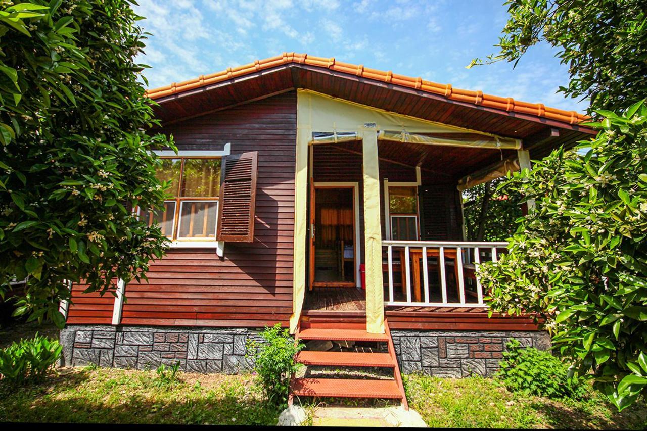Three Islands Bungalow Çıralı エクステリア 写真