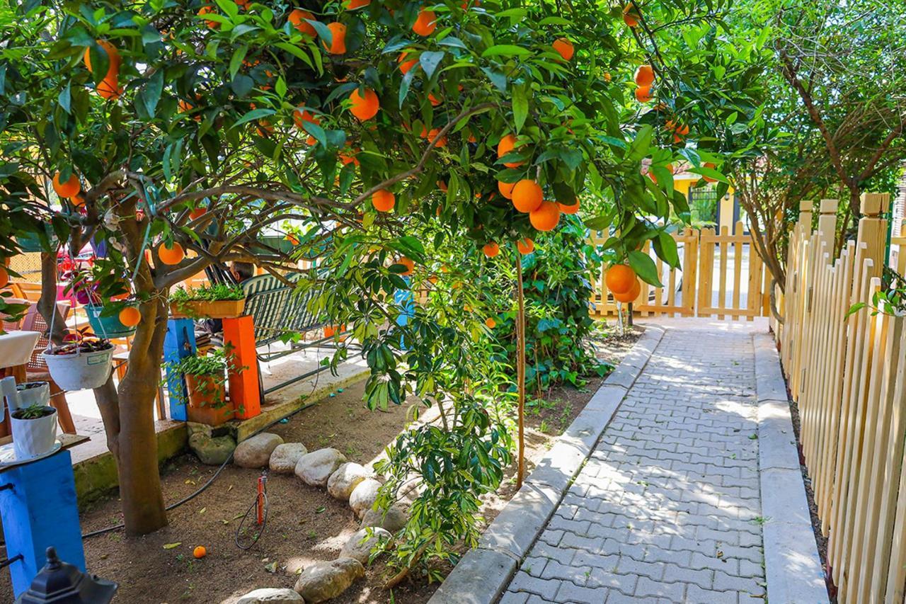 Three Islands Bungalow Çıralı エクステリア 写真