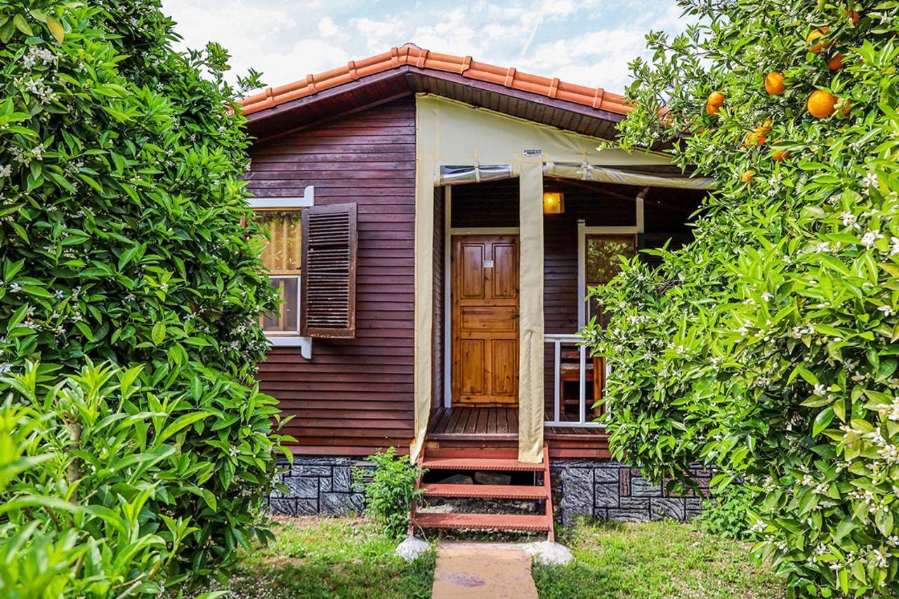 Three Islands Bungalow Çıralı エクステリア 写真
