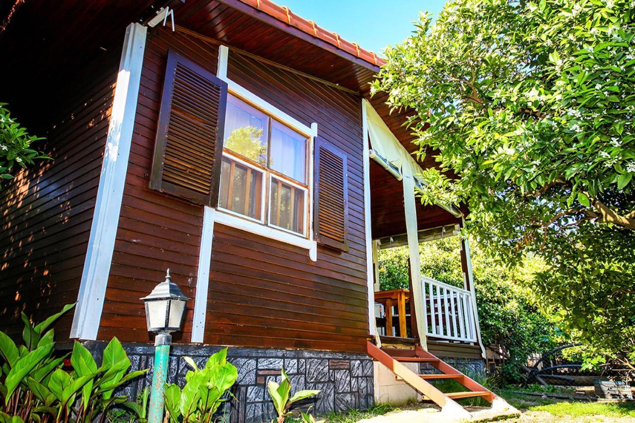 Three Islands Bungalow Çıralı エクステリア 写真
