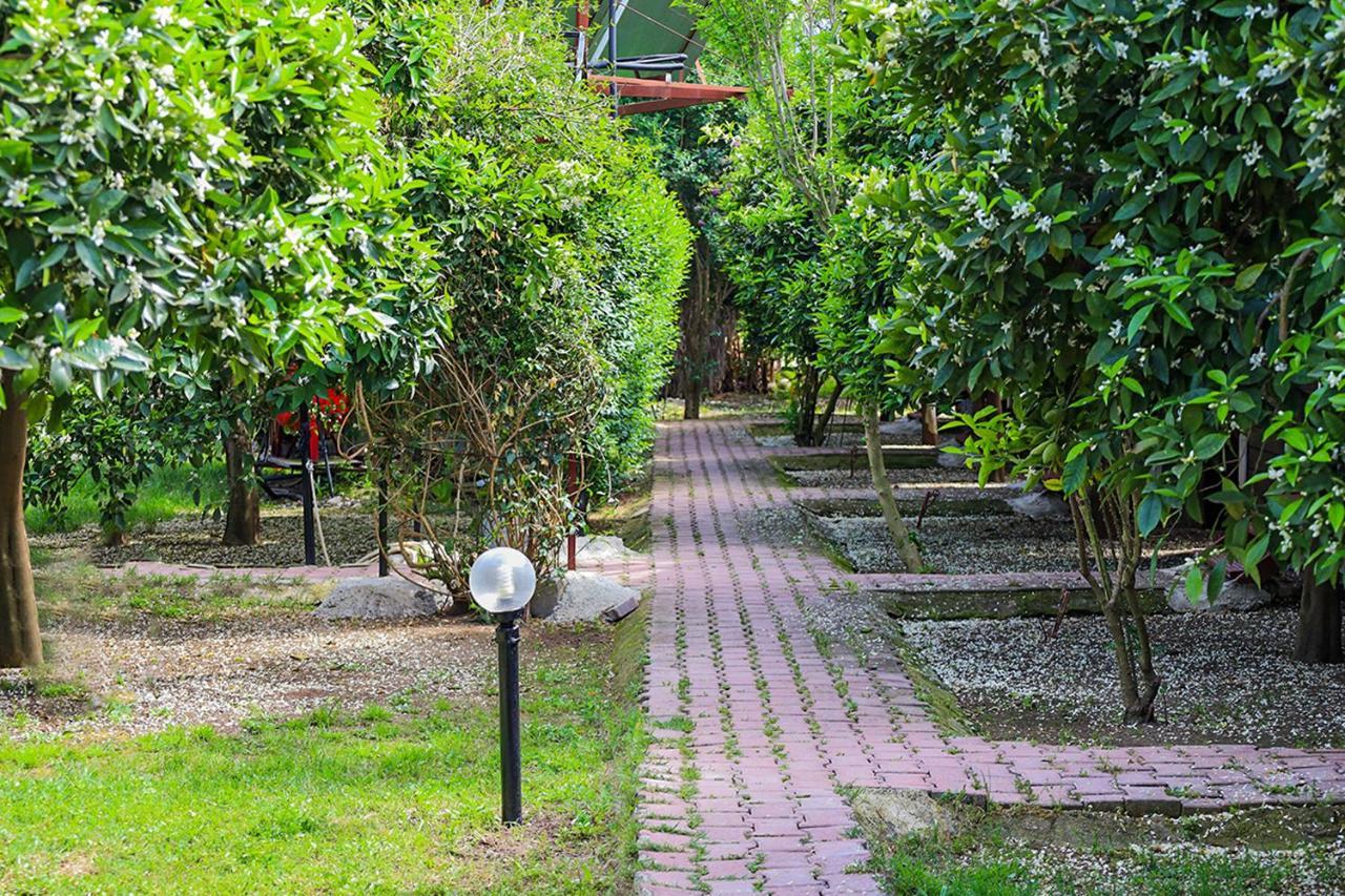 Three Islands Bungalow Çıralı エクステリア 写真